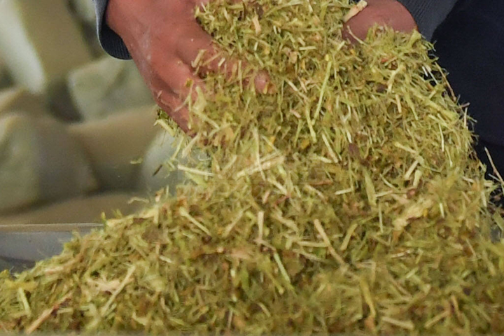 生物質(zhì)烘干機(jī)廠家鄭州東鼎干燥開(kāi)發(fā)了大型檸條烘干機(jī)成套設(shè)備，實(shí)現(xiàn)了檸條資源規(guī)模化利用之路。